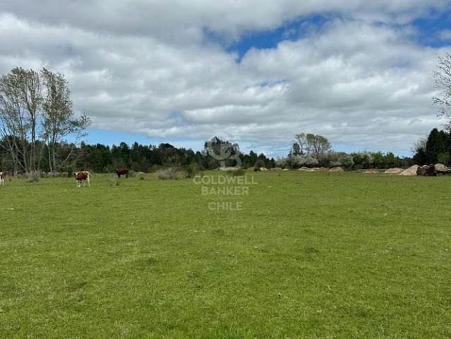 Campo con acceso a Río en Maullin, derechos de agua. 0 dormitorios por 407000. 00 en Maullín