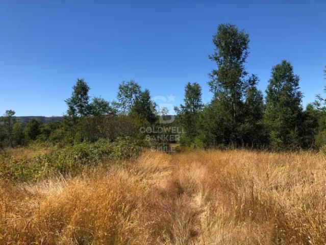 Campo de 65 hectáreas en Fresia al poniente de Purranque | 0 dormitorios por 812500. 00 en Purranque