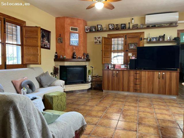 CAMPO DE FORTUNA 616652603