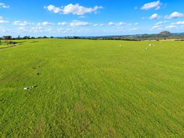 Campo do Tenente/ Lapa, 65 Alqueires, 157,30 Hectares,, Dupla Aptidão, 2,7 km do asfalto