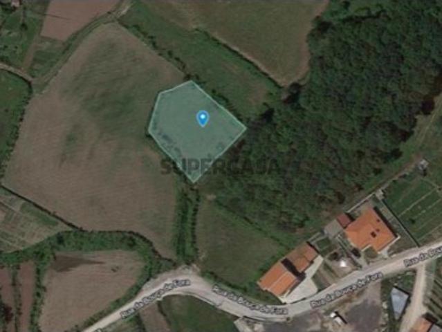 Campo do Bravo Peroselo, Penafiel