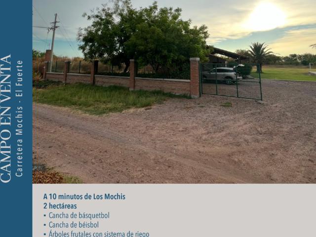 CAMPO EN VENTA CARRETERA LOS MOCHIS EL FUERTE