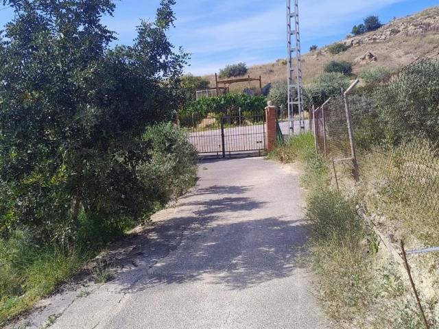 CAMPO EN PLENA NATURALEZA