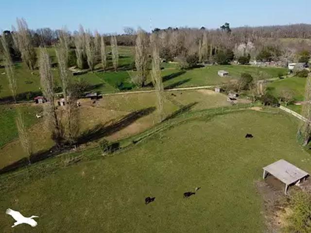Campsegret 24140 Achat / Vente maison 2 pièces t2