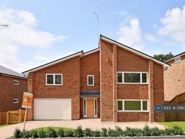 Canterbury Crescent, Sheffield, S10 5 bed detached house to rent £2,950 pcm £681 pw