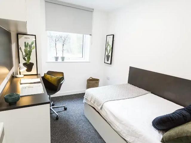 Canterbury Student Manor, Canterbury Student Accommodation | Amber