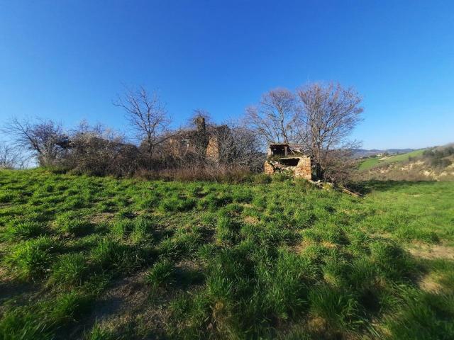 cantina Cocci Grifoni 10 vani 200mq