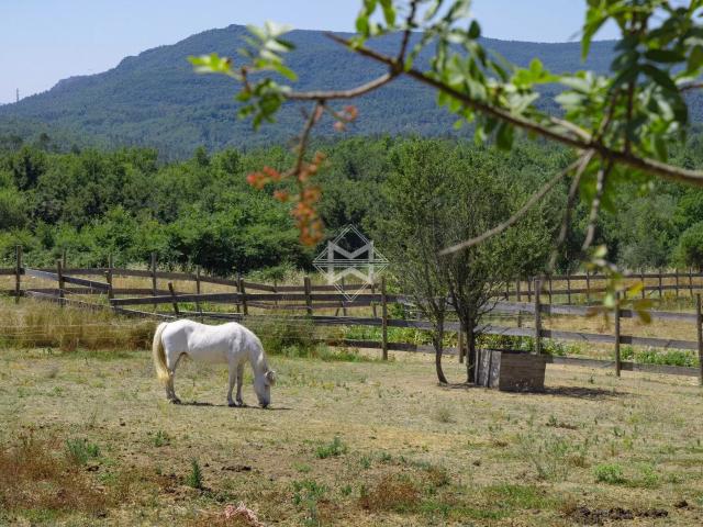 Canton de Fayence – Mas ancien 552m² Fayence