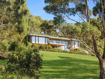 Candlebark Capturing mesmerising views