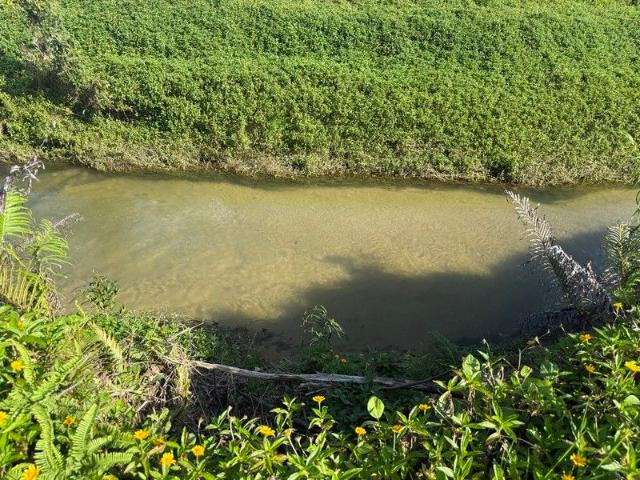 Cane farm close to Tully with two internal permanent Creeks