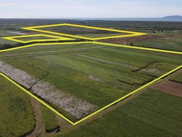 CANE FARM BETWEEN HALIFAX & TAYLORS BEACH!