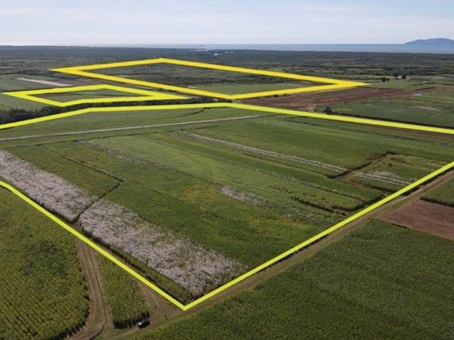 CANE FARM BETWEEN HALIFAX & TAYLORS BEACH!