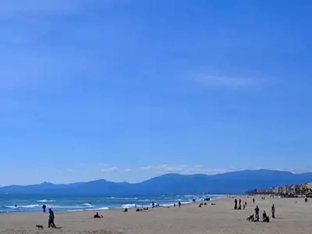 Canet en Roussillon 66140 Achat / Vente appartement 3 pièces t3