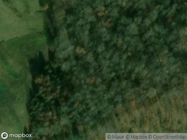 Caneyville Rd