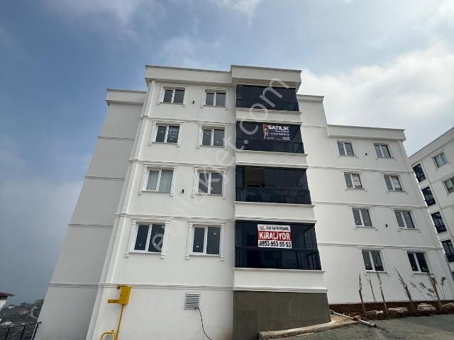 Canik Hasköy Caddeye Cep Sıfır İskanı Alınmış Kiralık Daire