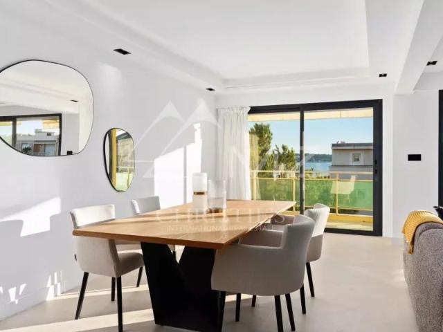 Cannes Palm Beach Appartement toit terrasse