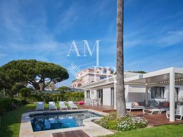 Cannes Alpes-Maritimes, Alpes-Maritimes