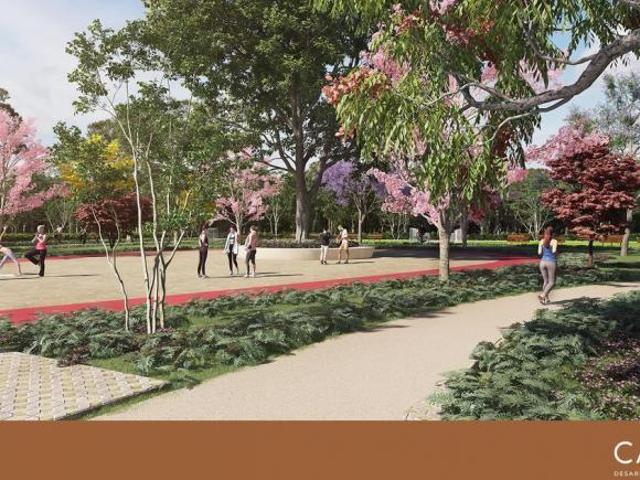 Caoba Residencial Lotes de uso habitacional con Amenidades y Espacios Recreativos