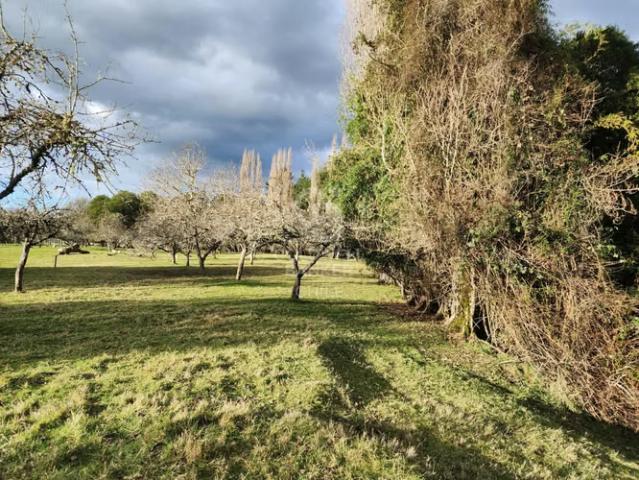Cabaña con bosque nativo y acceso a río I Puerto Varas | 0 dormitorios por 7600.00 en Puerto Varas