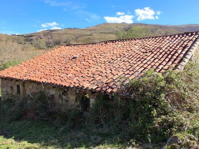 CABAÑA DE PIEDRA EN CABUERNIGA