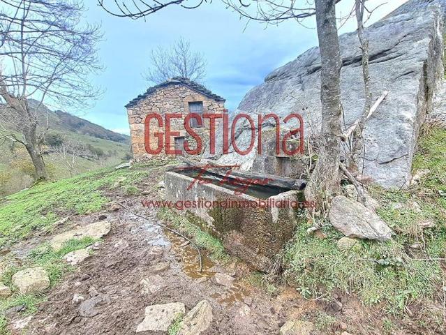 CABAÑA DE PIEDRA EN SOBA. VALDICCON