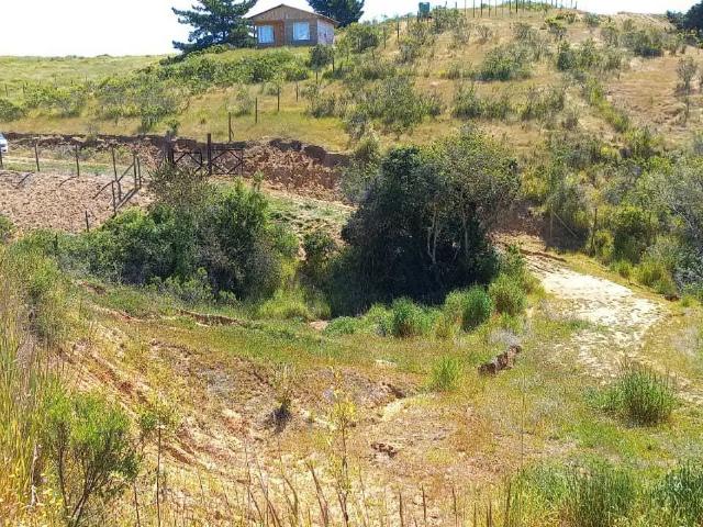 Cabaña en Parcela de 5.000mt2 en Bucalemu 1623 | dormitorios por 24000. 00 en Paredones