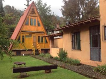Pinera, Uruapan, Michoacan de Ocampo