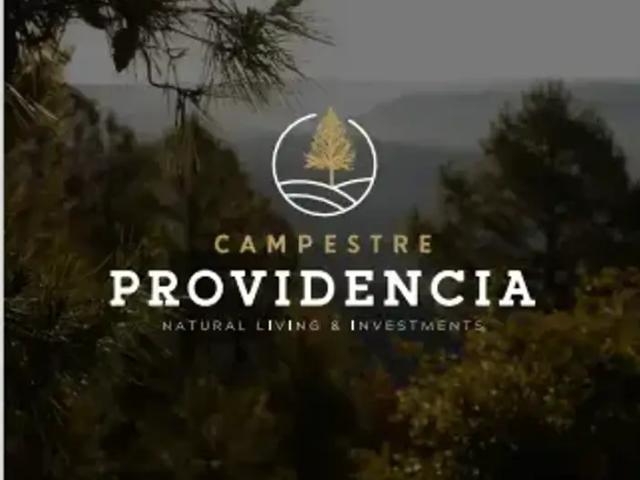 Cabaña En Venta en Providencia Durango