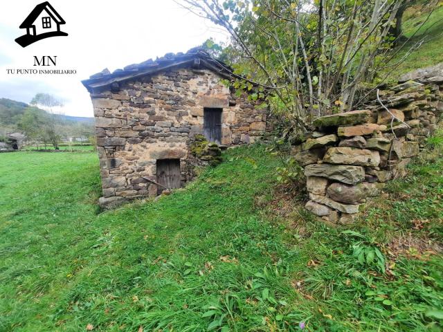 CABAÑA PASIEGA CON FINCA EN SELAYA