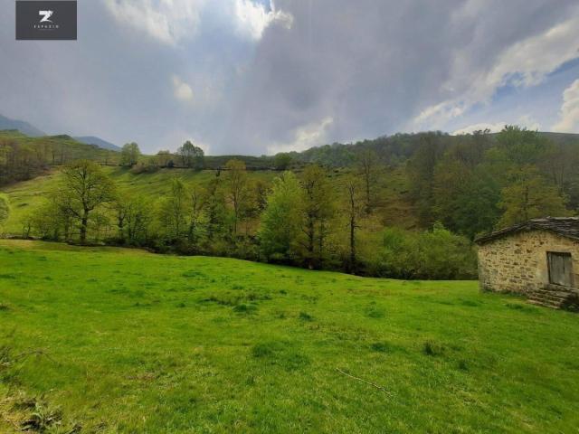 Cabaña Pasiega con Finca en Selaya