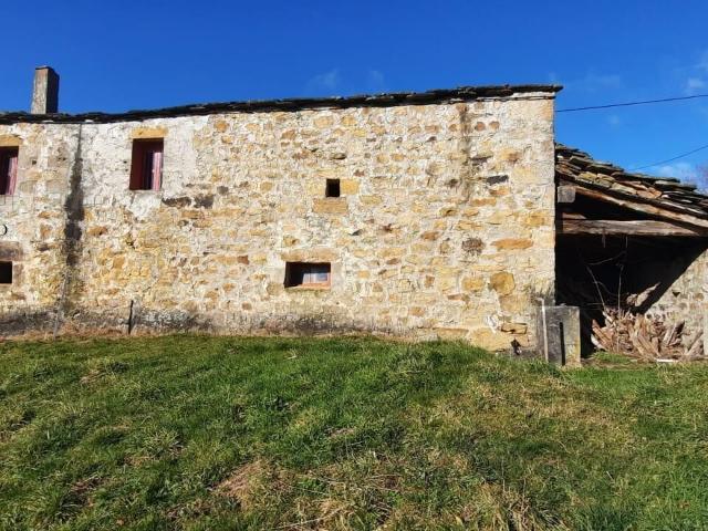 CABAÑA PASIEGA CON FINCA EN VEGA DE PAS