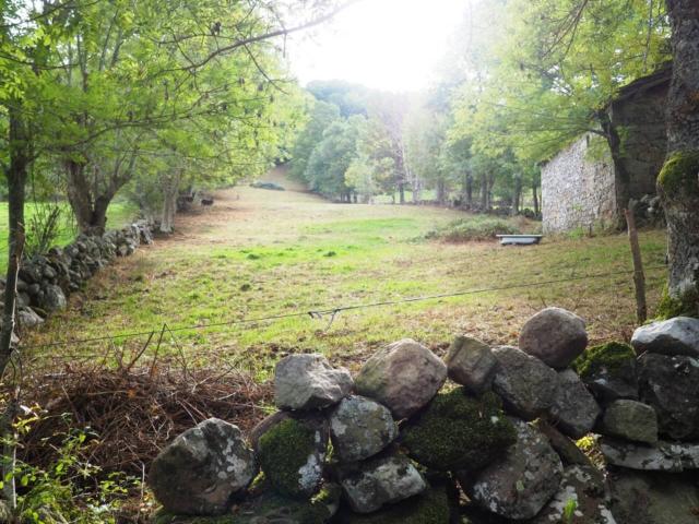 Cabaña Pasiega Indep. de 140 m2 en 2 plantas en Terreno de 7.500 m2 en Bustulama a 1'5 km. de Las Machorras Rioseco Es
