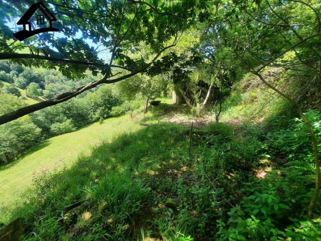Cabaña tradicional de piedra con gran finca de 9.710 m2 en el Paraje de Campillo, Selaya