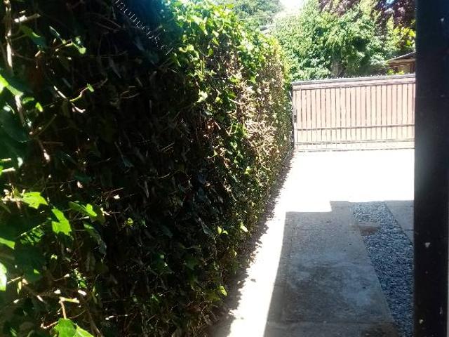 Cabaña 1 estudiante amoblada