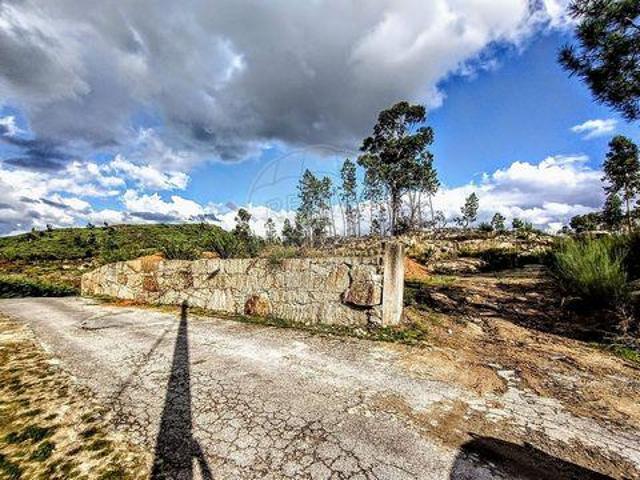 Cabeceiras De Basto Braga 100020435