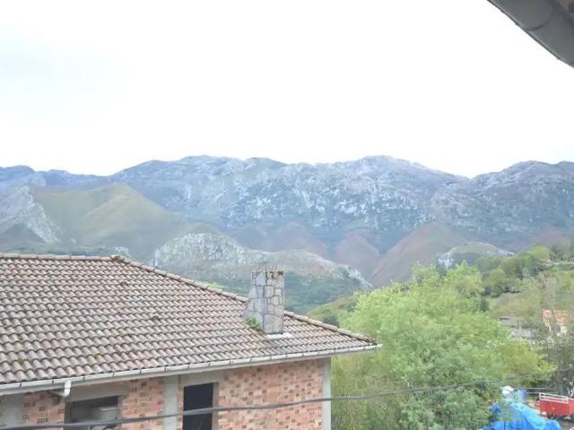Cabrales