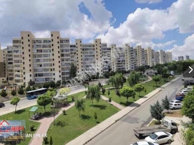 Cadde Seyran Emlaktan Kiralık 2 1 F.g