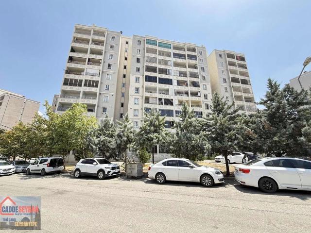 Cadde Seyrandan Kiralık