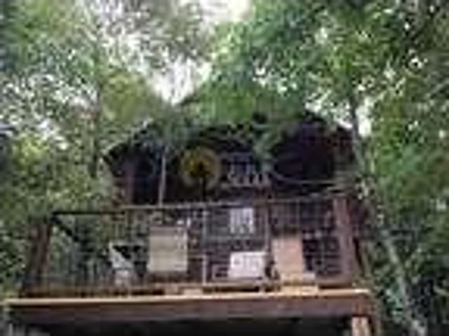 Caddo River 3 bedrooms 2 full baths cabin in Glenwood