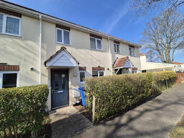 Cadge Road, NORWICH 2 bed terraced house to rent £1,300 pcm £300 pw