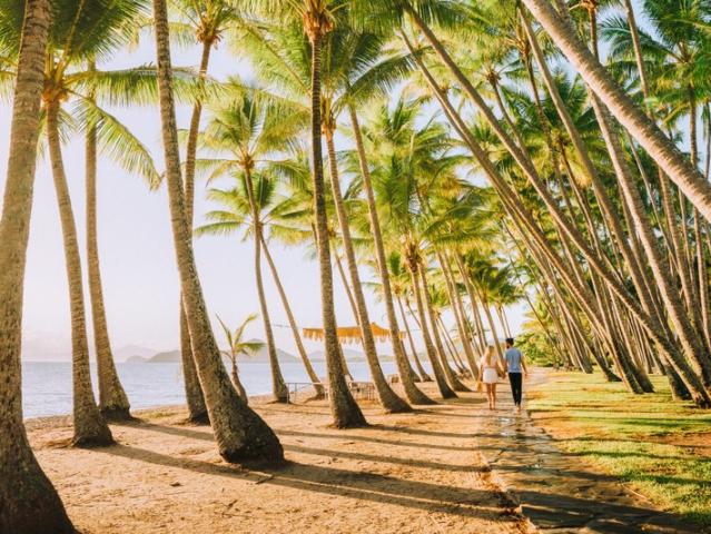 Cairns Esplanade Management Rights $332,000 Net, No Onsite Residency Required | Resort Brokers ID: MR009189