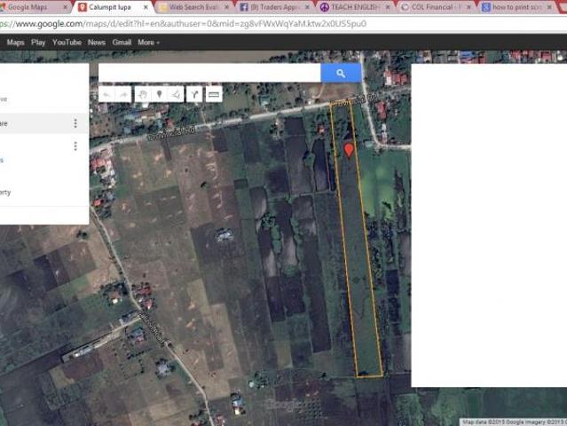 Calumpit, Bulacan 2. 83 ha. farm land lot property. NEGOTIABLE