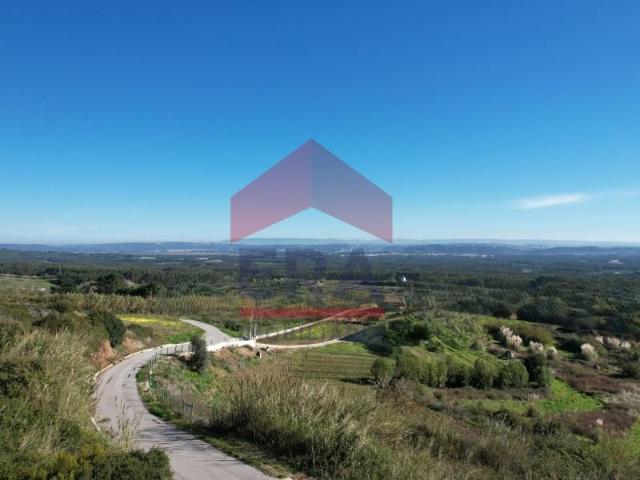 Caldas da Rainha Caldas da Rainha 97053299