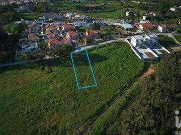 Caldas Da Rainha Leiria 101779613