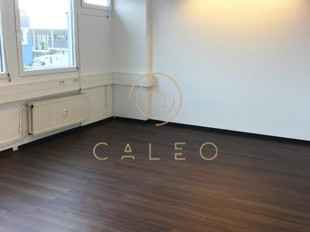 CALEO ¦ Kelsterbach ¦ Flughafen ¦ 192 m² 498 m² ¦ ab EUR 8,50/m² ¦ PROVISIONSFREI