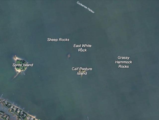 Calf Pasture Island, Norwalk, United States, CT