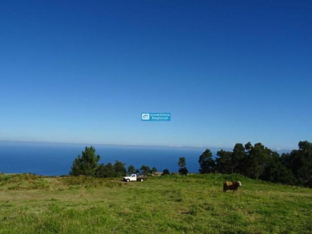 Calheta Calheta 102742211
