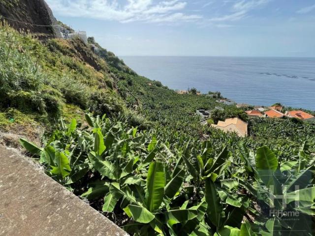 Calheta Calheta 9370 084 87078135