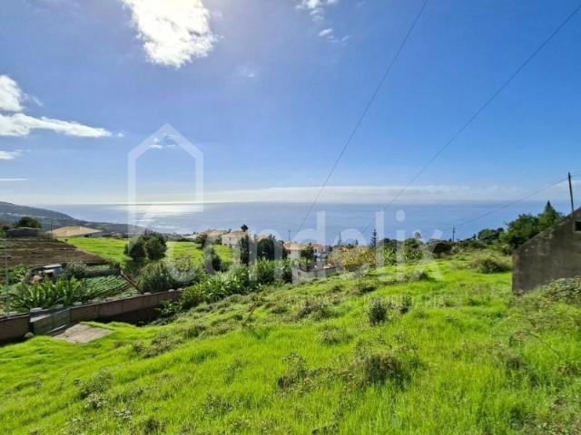 Calheta Calheta 99378722