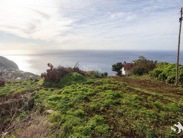 Calheta Ilha da Madeira 95303148
